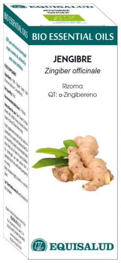 Bio Essential Oil Ginger 10 ml Qt: Alfa-Zingiber