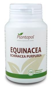 Echinacea Eco 100 Tablets