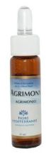 Fm 1 Agrimony 10 ml