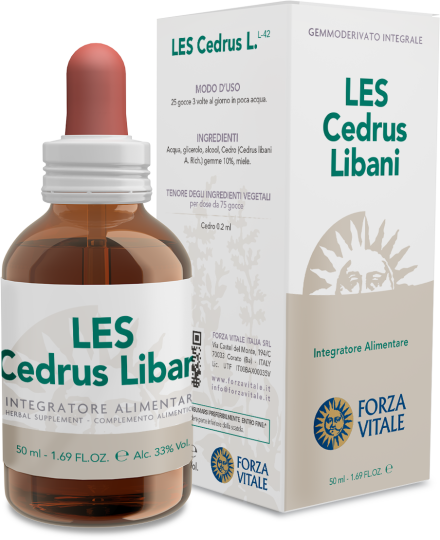 Cedrus Libani Lebanon Cedar 50 ml