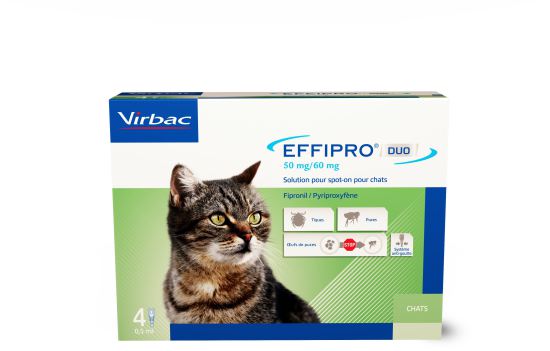 Effipro duo 50 mg/60 mg solucion Spot-on para gatos